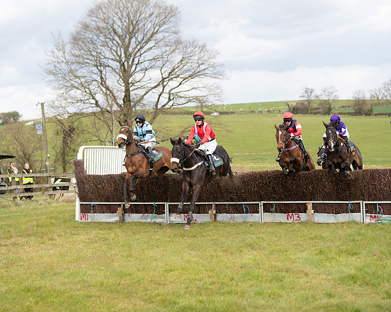 Race 2 - Young Horse Maiden (38 of 104)