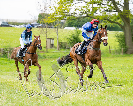 Race 1 - Hunt Members (48 of 181)