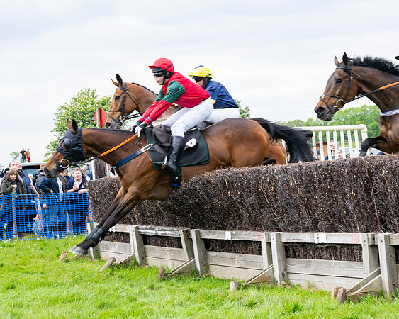 Race 2 - Veteran Horse (17 of 80)