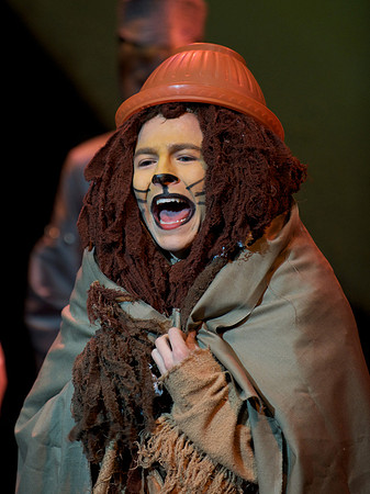 The Wizard of OZ -  250