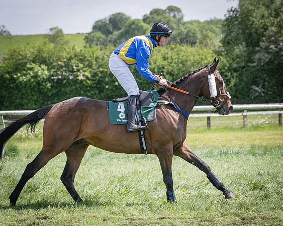 Race 2 - The Maiden (35 of 126)