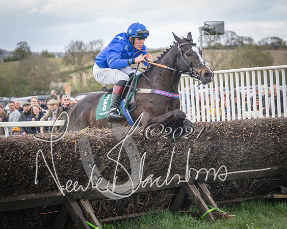 Race 2 - Tattersalls Cheltenham 4 year old Maiden (67 of 85)