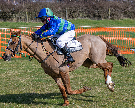 Pony Race 2 - 138cm (52 of 65)