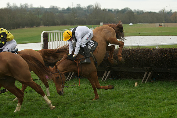 Race 5 - 27