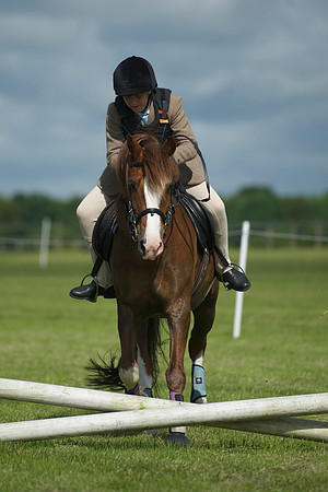 SOHS PC Summer Show at BCA 17th June 2012