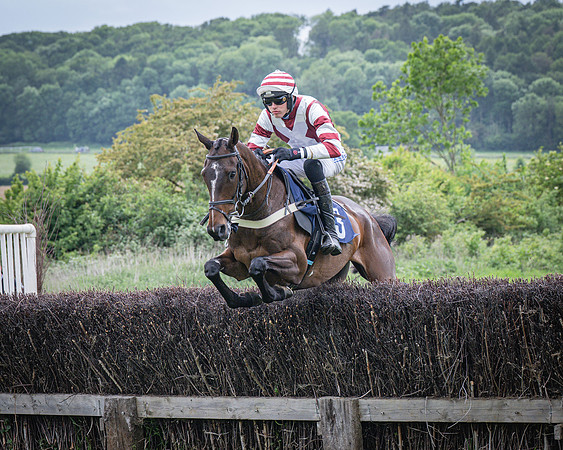 Race 6 - 2M4F Maiden (17 of 85)