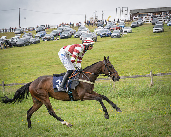 Race 6 - 2M4F Maiden (29 of 85)