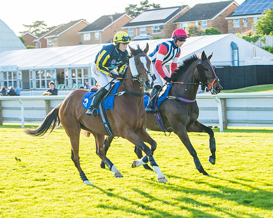 Race 5 - White Swan Hotel Handicap (2 of 80)
