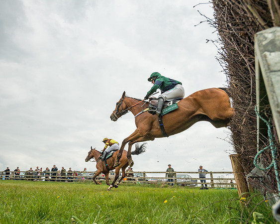 Race 2 - Jockey Club ROR veteran Horse (92 of 104)
