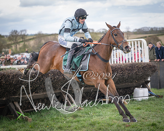 Race 2 - Tattersalls Cheltenham 4 year old Maiden (63 of 85)