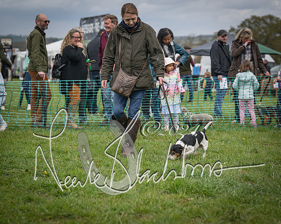 Bicester - Dog Show (58 of 106)
