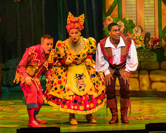 Swan Panto 2017