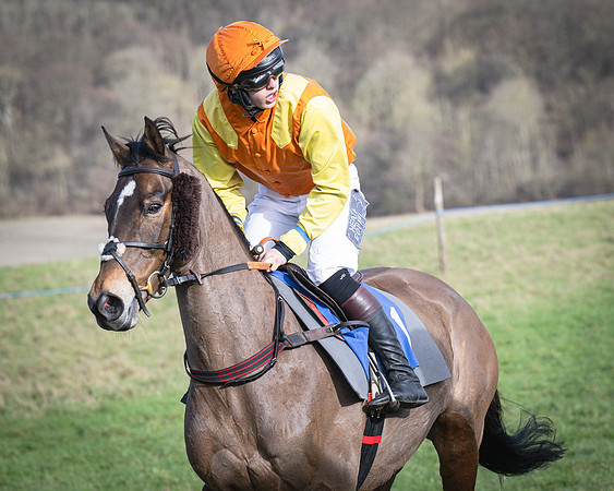 Race 5 - Home counties Grand National (44 of 194)