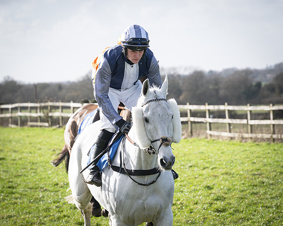 Race 5 - Home counties Grand National (33 of 194)