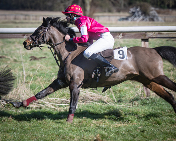 Pony Races (49 of 112)