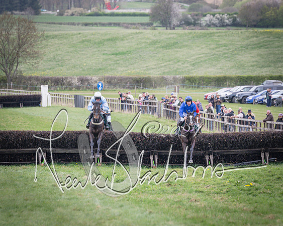 Race 2 - Tattersalls Cheltenham 4 year old Maiden (34 of 85)