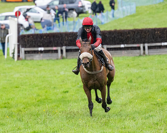 Race 8 - Bumper Div 2 (67 of 84)