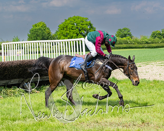 Race 2 - Restricted  (202 of 308)