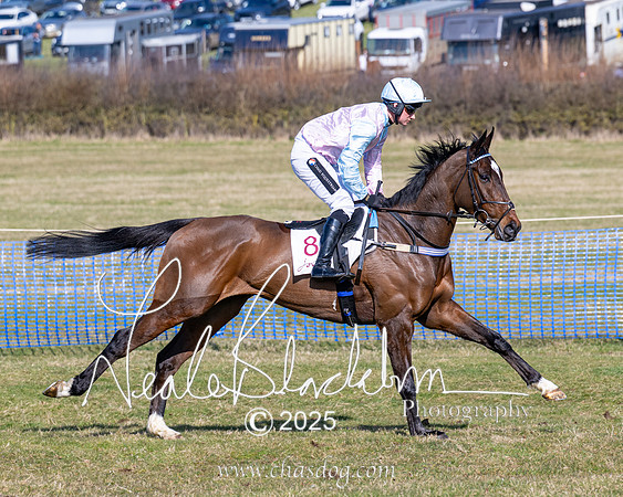 Race 1 - Maiden (80 of 188)