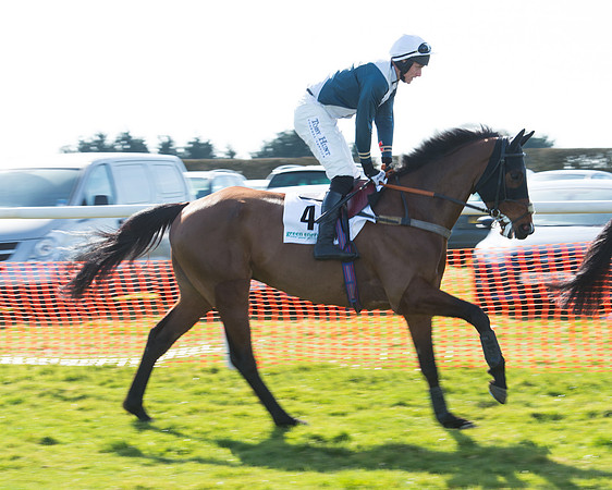Race 2 - Open Maiden Div 2 (34 of 124).jpg