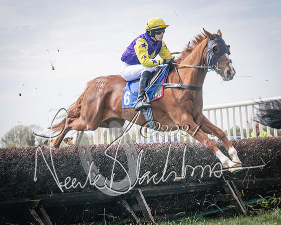 Race 2 - The Elliott of London maiden race (48 of 137)