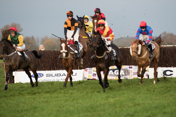 Race 5 - Open Maiden 43