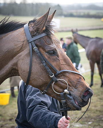 Race 5 - Intermediate (99 of 104)