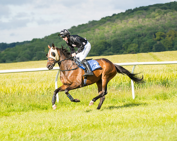 Race 6 - Open Maiden (31 of 227)