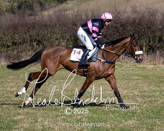 Race 1 - Maiden (54 of 188)