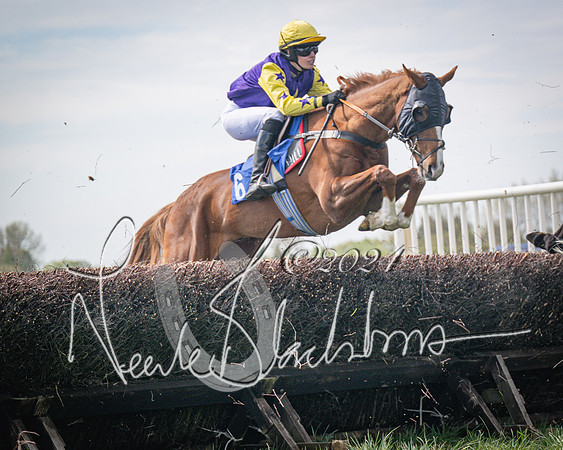 Race 2 - The Elliott of London maiden race (47 of 137)
