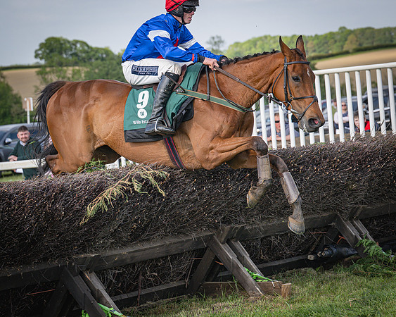 Race 6 - 2m5f Conditions (58 of 70)