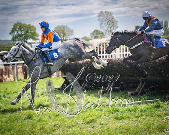 Race 2 - The Elliott of London maiden race (87 of 137)