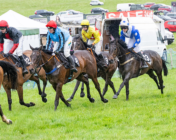 Race 8 - Bumper Div 2 (25 of 84)