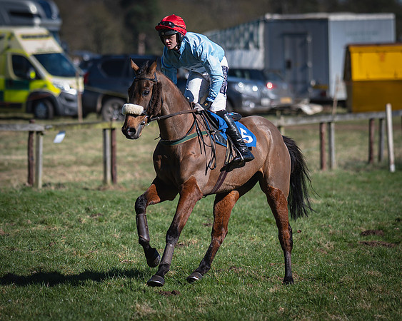 Race 1 - Veteran Horse (6 of 62)