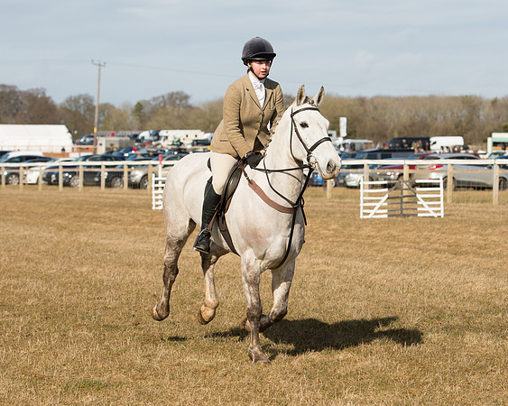 Race 1 - 4-5-6 Maiden (62 of 119).jpg