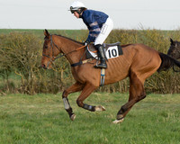 Race 6 - Open Maiden Race (14 of 99).jpg