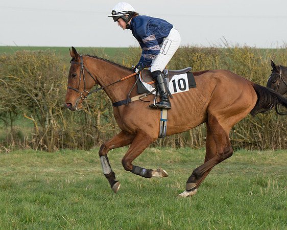 Race 6 - Open Maiden Race (14 of 99).jpg