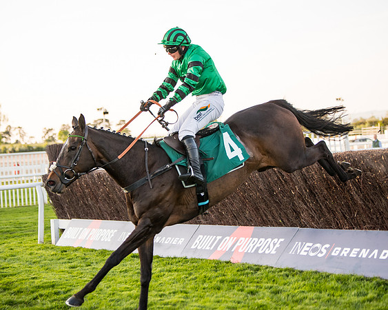 Race 5 - ITM Mares'  (74 of 181)