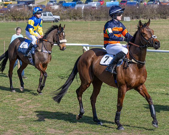 Pony Race 3 - 148cm (16 of 110)