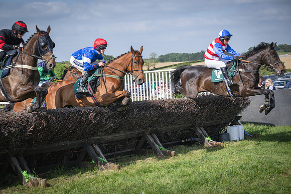 Race 6 - 2m5f Conditions (37 of 70)