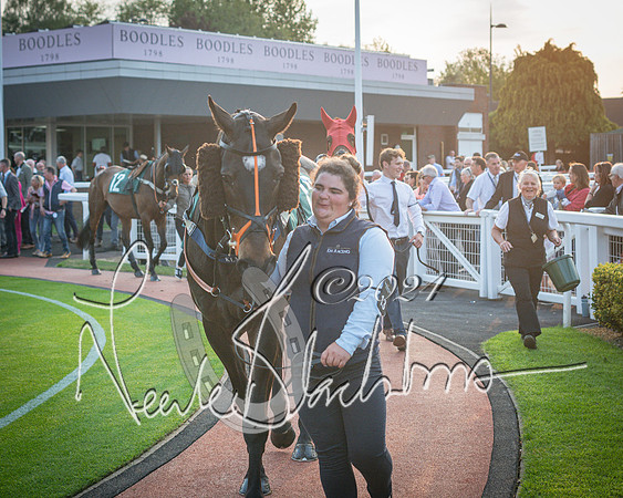 Race 6 - The Brooklands watches Golden Miller chronograph open hunter’s steeplechase 4m 97y (42 of 396)