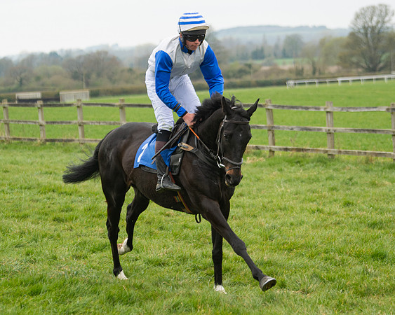 Race 3 - Open maiden  (41 of 273)