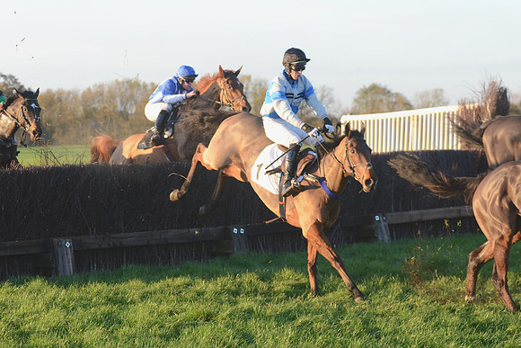 Young Horse Maiden  26