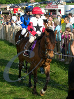 picture-7