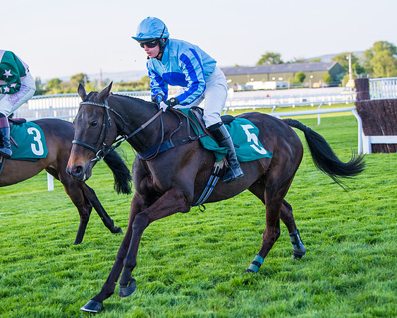 Race 5 - ITM Mares'  (31 of 181)