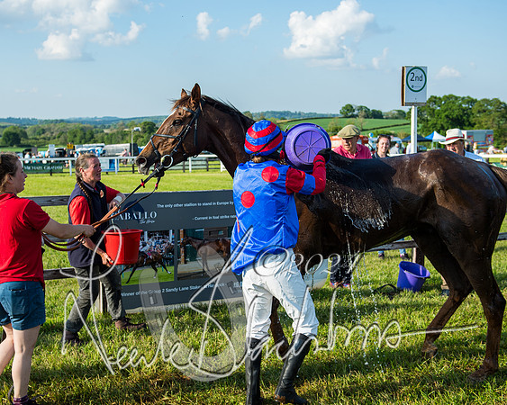 Race 7 - Veteran Horse (217 of 246)