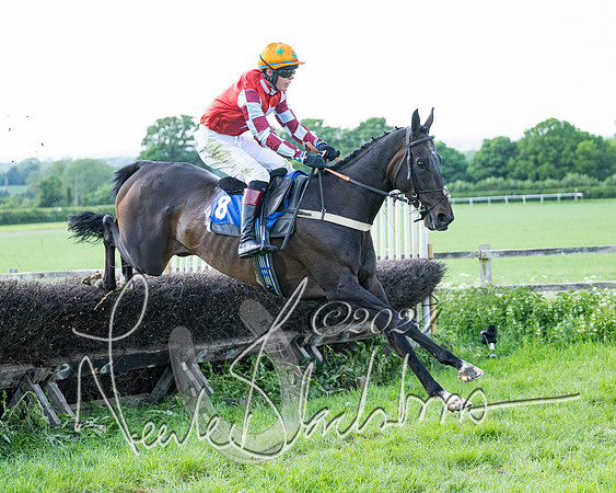 Race 5  - Maiden race 2m5F Div-1 (142 of 197)