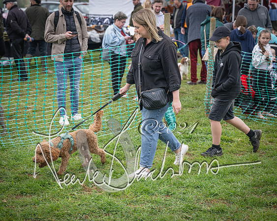 Bicester - Dog Show (81 of 106)