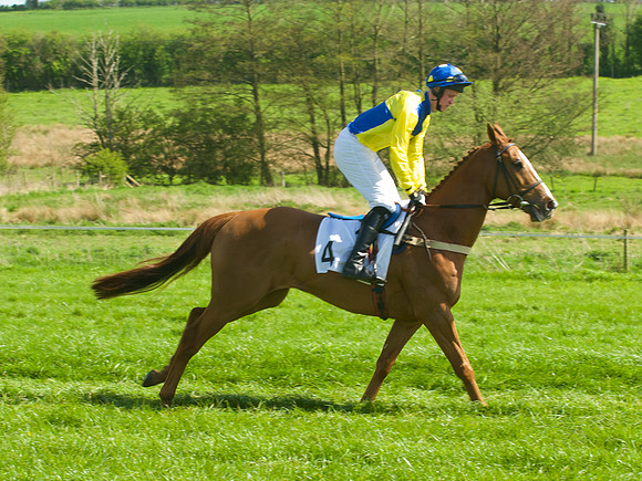 Race 2 - Open Maiden  27