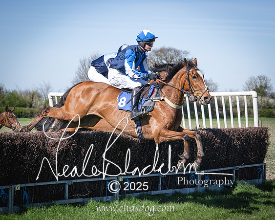 Race 6 - Veteran horse (53 of 109)